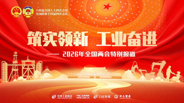 两会，十五五，全国人大，政协